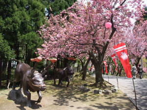 歴史国道（倶利伽羅古戦場）